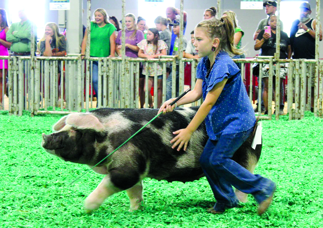 Pendleton at the KY State Fair | Falmouth Outlook